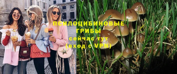 спиды Алексин